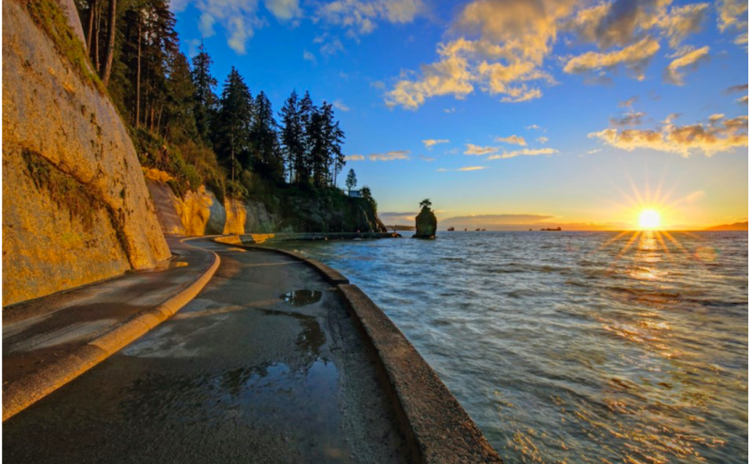 受蟲害和極度乾燥夾擊  溫哥華史丹利公園不容一絲火星