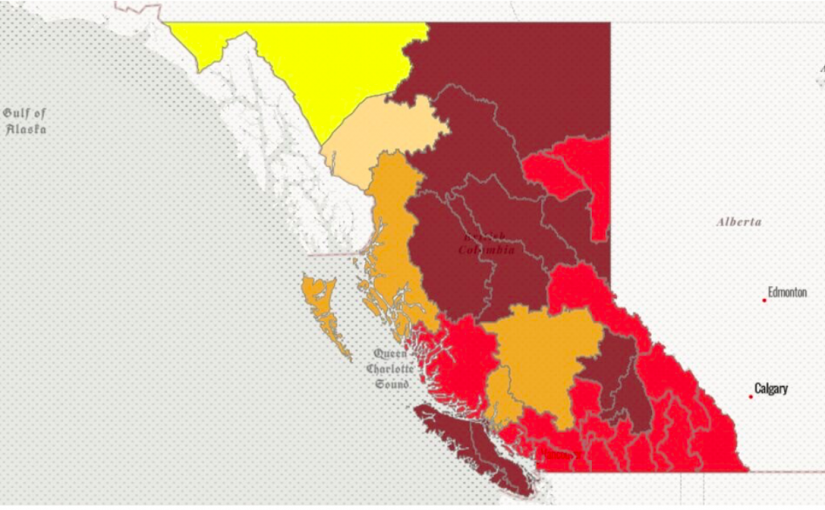 卑詩80%河流嚴重至極端乾旱  專家擔心三文魚洄游無處產卵