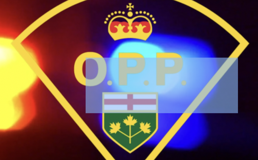 警方暴力逮捕視頻曝光 真相調查中