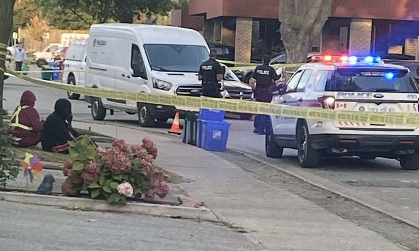 9歲女童被車撞倒傷重不治   省長福特致哀