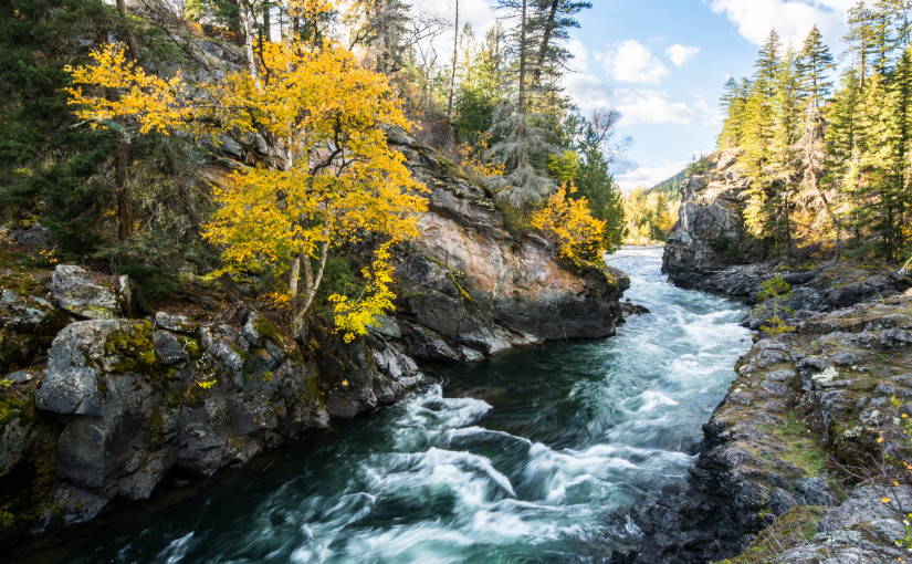 命大！卑詩漁夫墮河被水沖走  數十公里外自行上岸