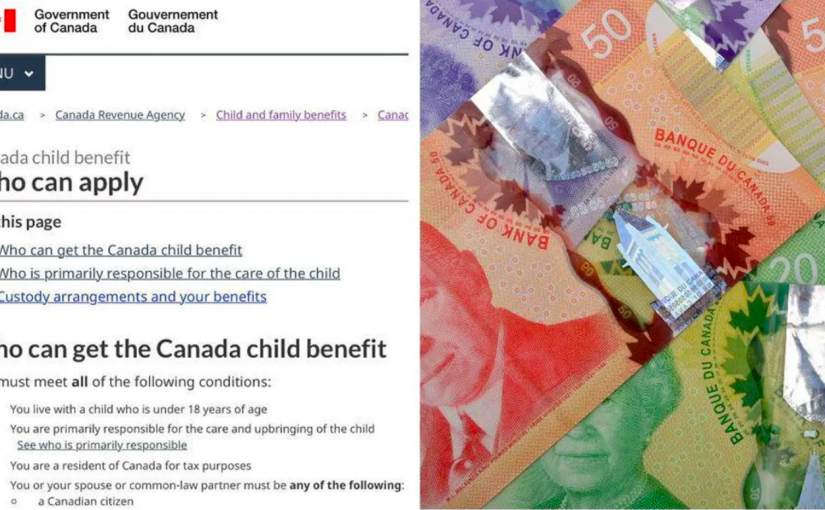 前加拿大稅務局職員虛構61名兒童獲取福利被判刑