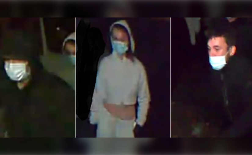 驚！女嫌「身材苗條如運動員」  3匪深夜闖民宅打劫被緝