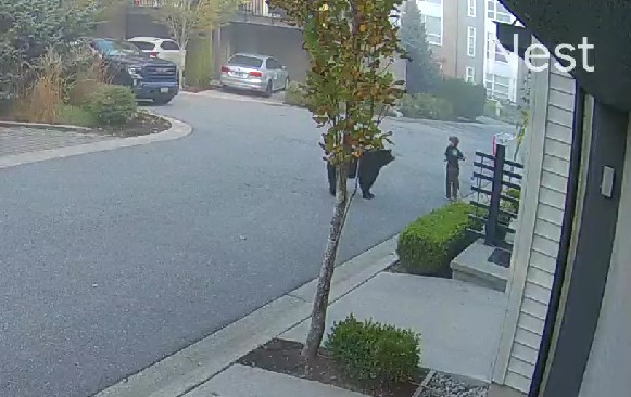 【有片】大溫小孩與熊面對面對峙 勇漢挺身驅趕場面驚險