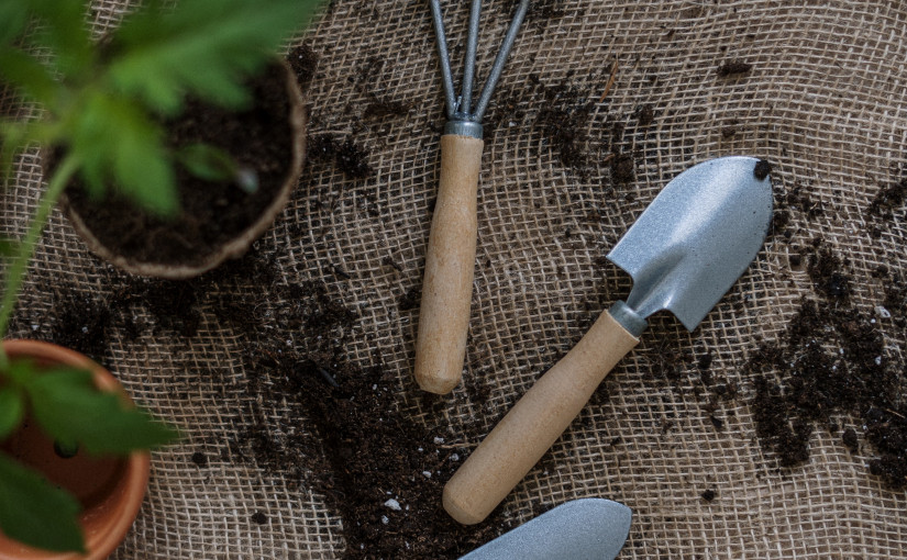 園藝泥土混雜玻璃碎和避孕套 華裔顧客索償8.3萬