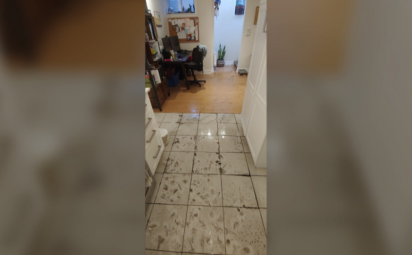 夫妻稱市府下水道作業失誤致公寓被淹 不得已搬家租金翻近三倍