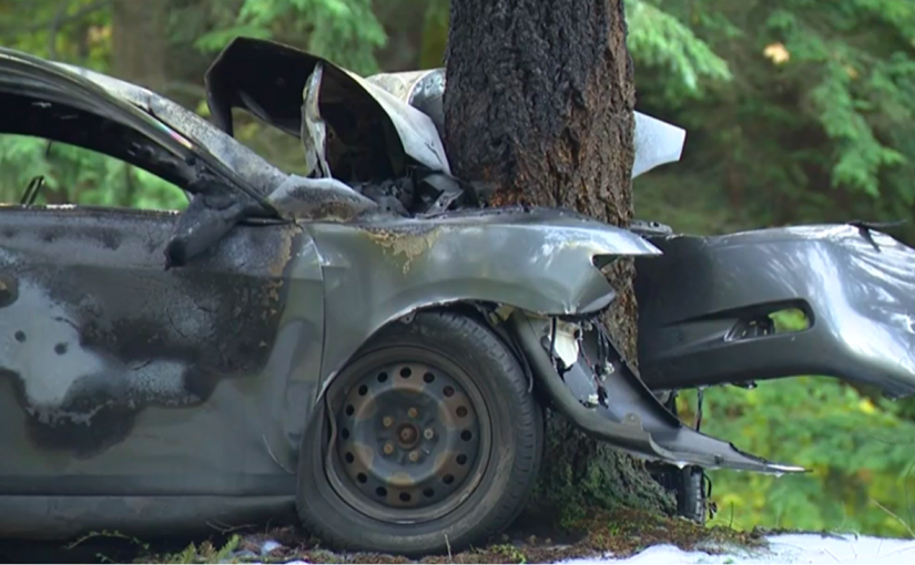 UBC附近車撞樹釀3傷兩危殆  車內3青年僅一人繫安全帶