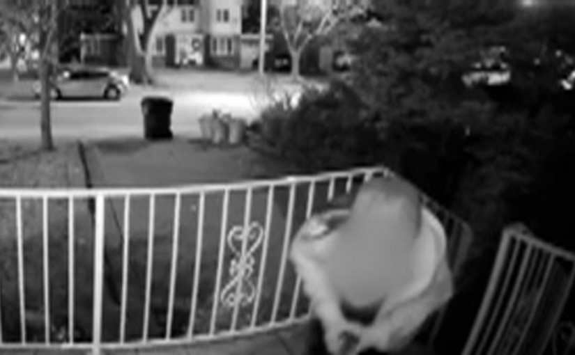 兩醉娃順手牽寡婦聖誕節裝飾  原為亡夫所贈盼好心人歸還