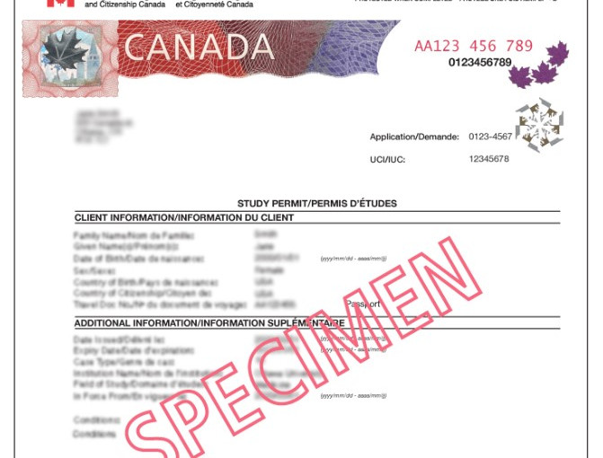 持學簽者四分一未有入學 當中逾半在加國從事其他活動