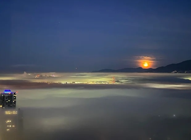 大霧警示即起生效 大溫今明能見度「近乎零」 駕車須小心