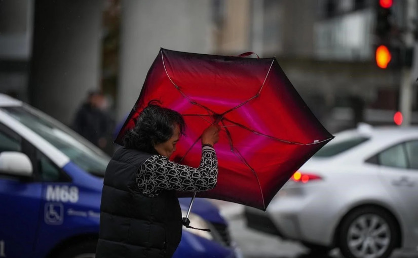 卑詩南岸及溫島強風警告生效 低陸平原1.3萬戶一度停電