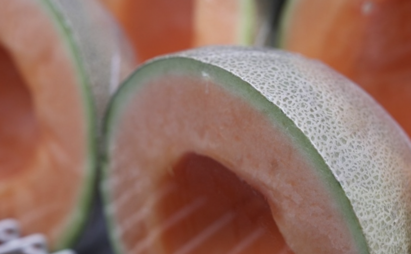 加拿大食用受沙門氏菌污染哈密瓜死亡人數增至7人