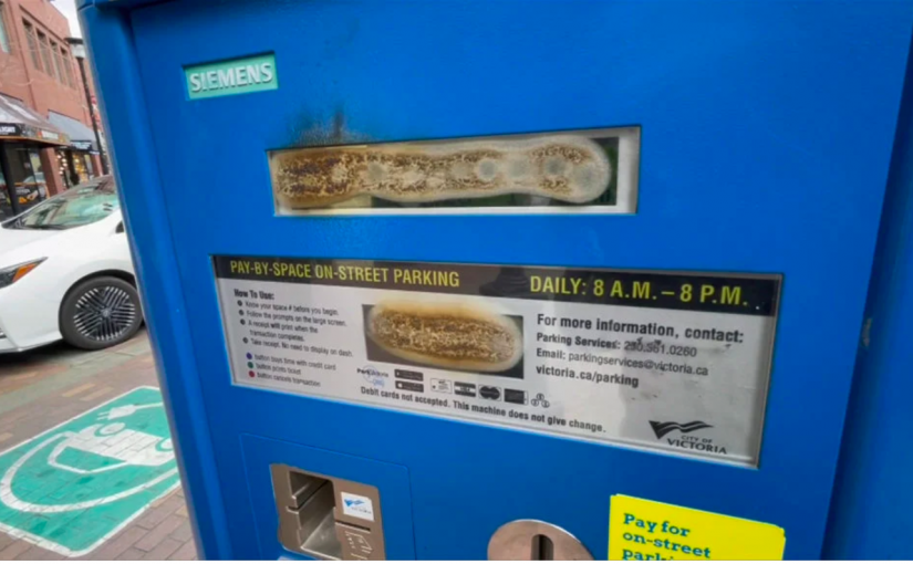 節禮日大破壞！維多利亞市停車場近1/3付費機被損毀