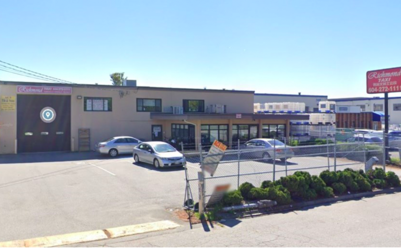 浣熊害列治文的士司機急煞車  後果很嚴重⋯⋯