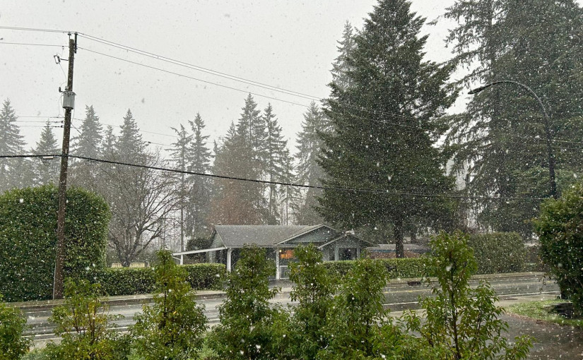 低陸平原下大雪！強大鋒面撲向卑詩降雪強風交加