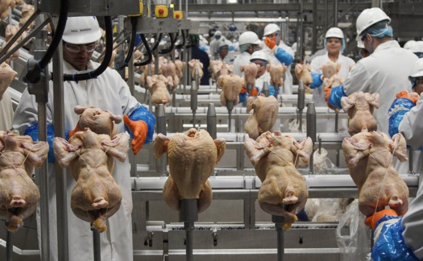 卑詩審議雞肉訂價新公式  餐飲業警告將導致漲價1成