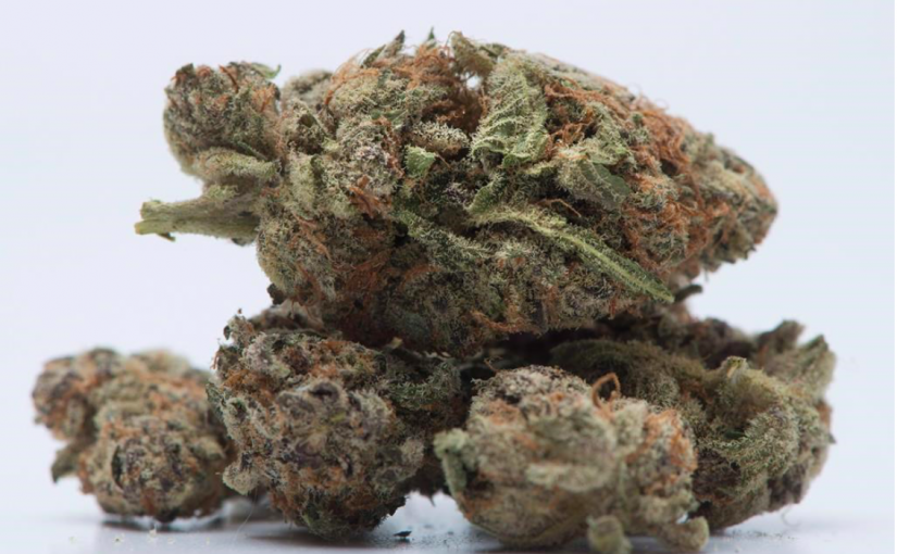 皇家騎警放寬警員大麻使用政策  但須確保上班時履行職責