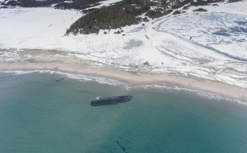 紐芬蘭驚現巨大幽靈沉船  船身翻轉氣氛詭異