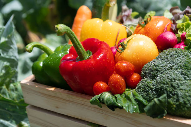 蔬菜農藥｜16種台灣蔬菜最多農藥！第1位經常生吃恐中毒傷肝 6類蔬菜洗法大不同