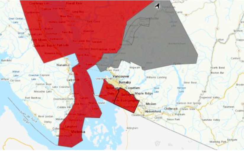 大風勁吹颳倒樹木  2萬多卑詩水電公司用戶停電