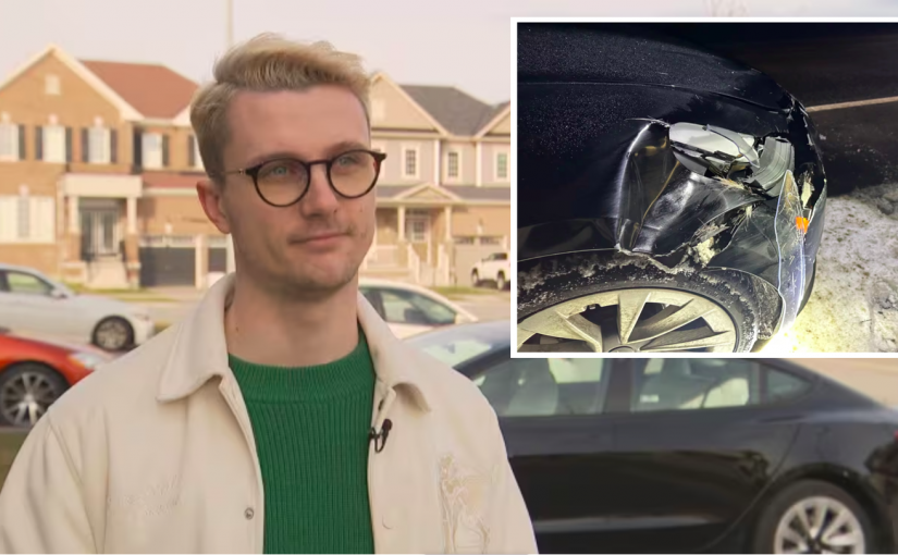 電動車保費要漲？司機駕車撞鹿受損  修車行沒招送原廠花費1.8萬元