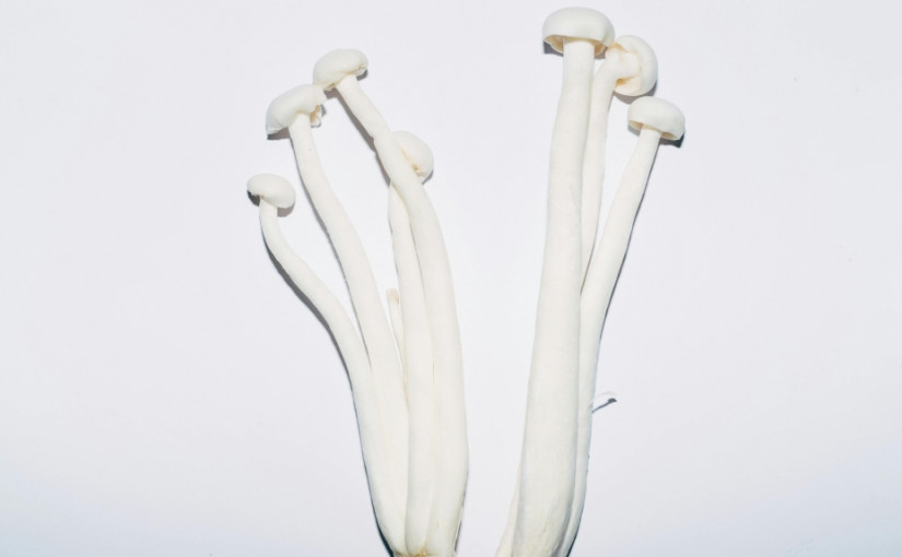 冰箱有金針菇嗎？有產品因李斯特菌污染而被回收