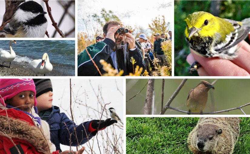 【好去處】多倫多地區4處都市淨土 春季觀鳥賞蝶樂趣多