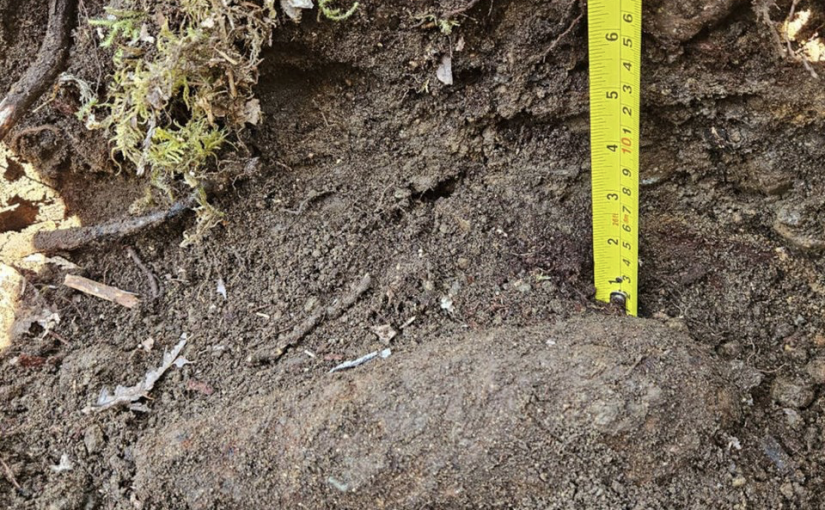 迫擊砲彈埋北溫森林步道附近幾十年  終於引爆