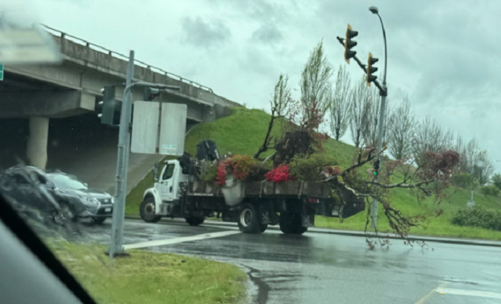 列治文貨車樹枝橫伸到處走 工人被警察截停後做這事回應
