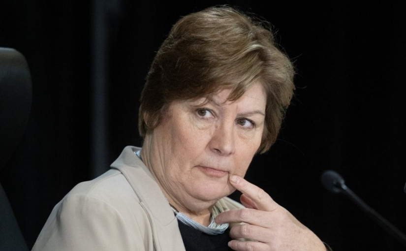 調查外國干預研訊報告(之一)：中方隱晦威脅留學生要支持董晗鵬