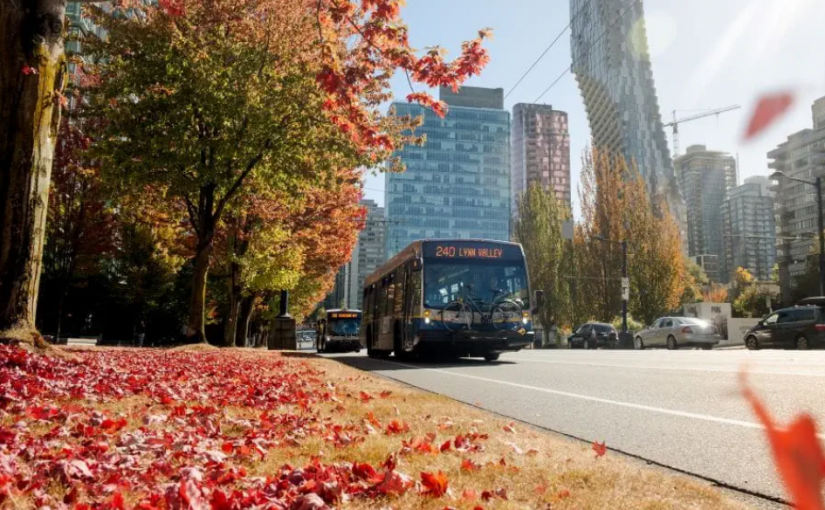 大溫9月添47條公車路線  僅「短期」改善過度擁擠問題