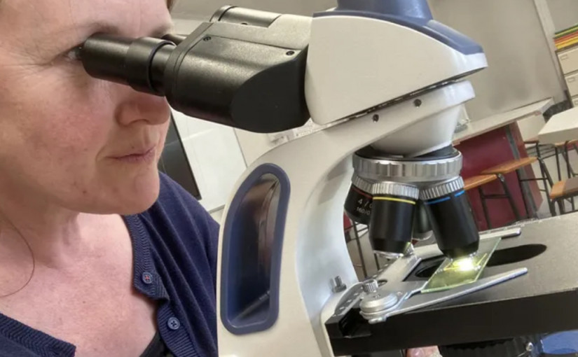 科技| 世界最快顯微鏡誕生 千億分之一秒電子脈衝  捕捉電子移動影像