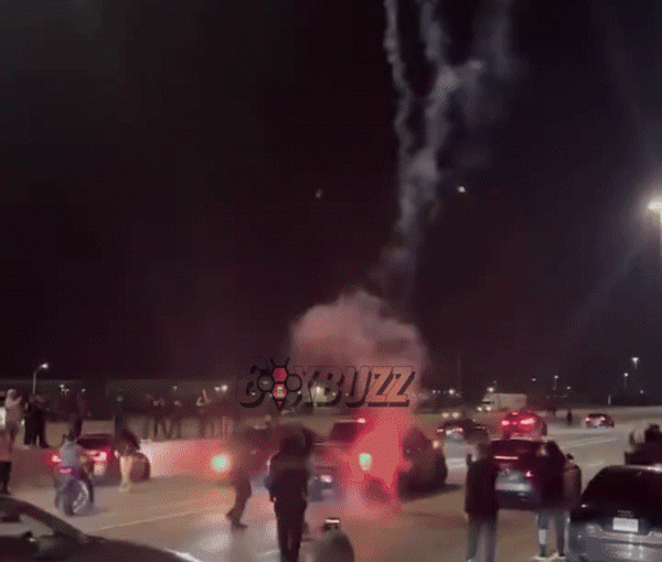 【多倫多夜繽紛｜有片】401公路再遭非法駕駛癱瘓 網鼓噪