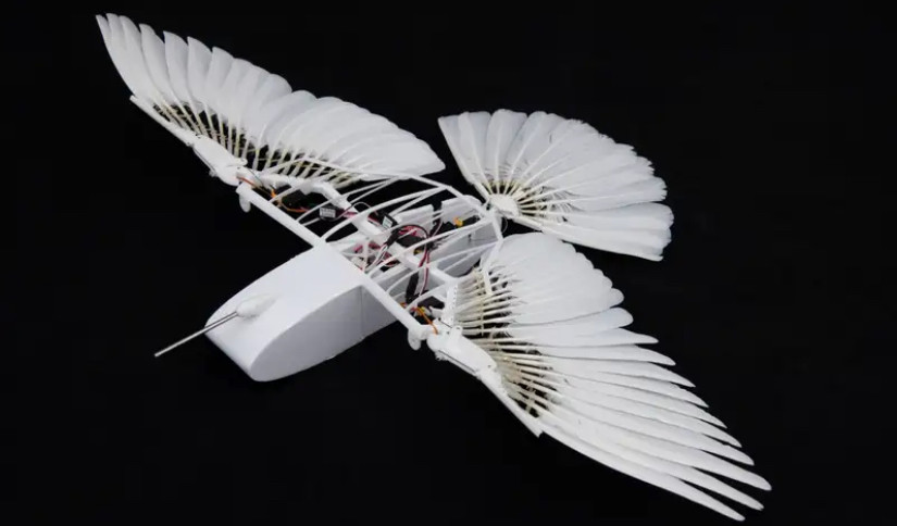 科技|機械鴿子揭示鳥類飛行秘密  飛機設計新靈感或減耗油量