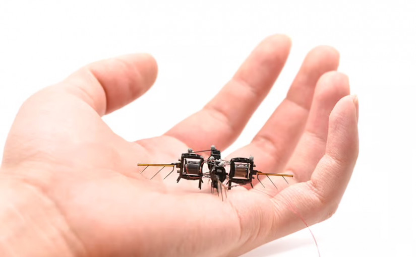 科技| 麻省理工重新設計微型機械人 減少翅膀飛行時間延長100倍