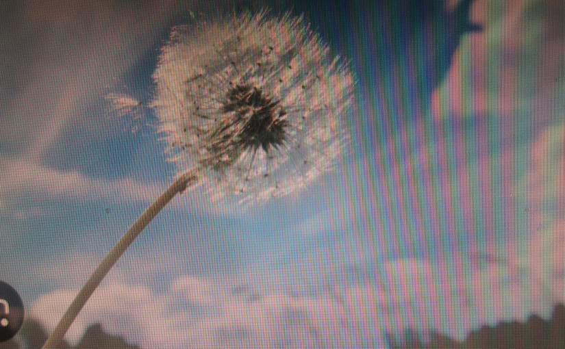 【阿濃專欄】Deepseek寫詩