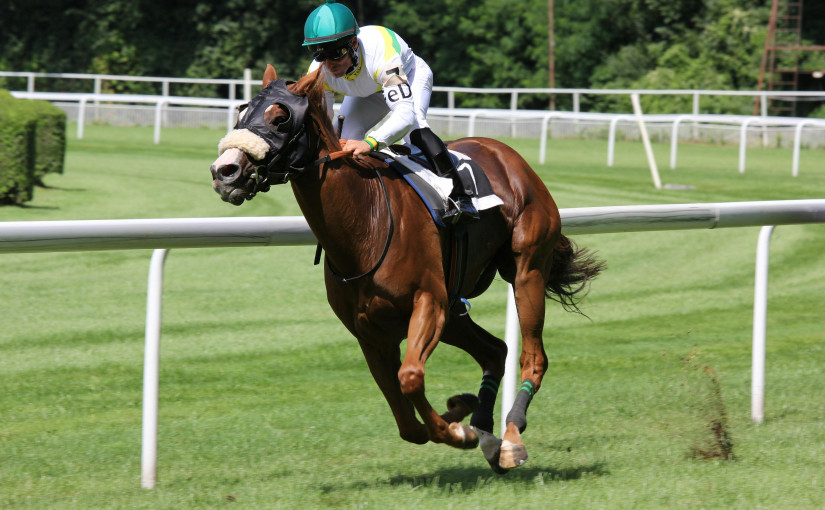 【黃庭桄專欄】不一樣的賽馬