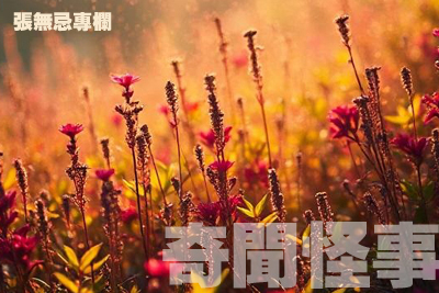 【張無忌專欄】有電就有腦