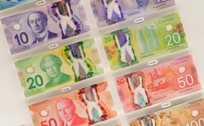 新的殘障福利金上路了  你可以申請嗎？