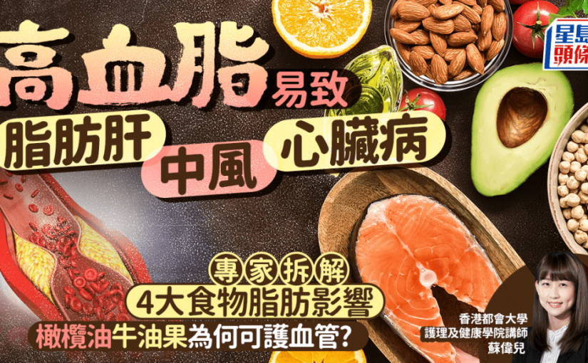 高血脂易致脂肪肝/中風/心臟病 專家拆解4大食物脂肪影響 為何橄欖油/牛油果可護血管?