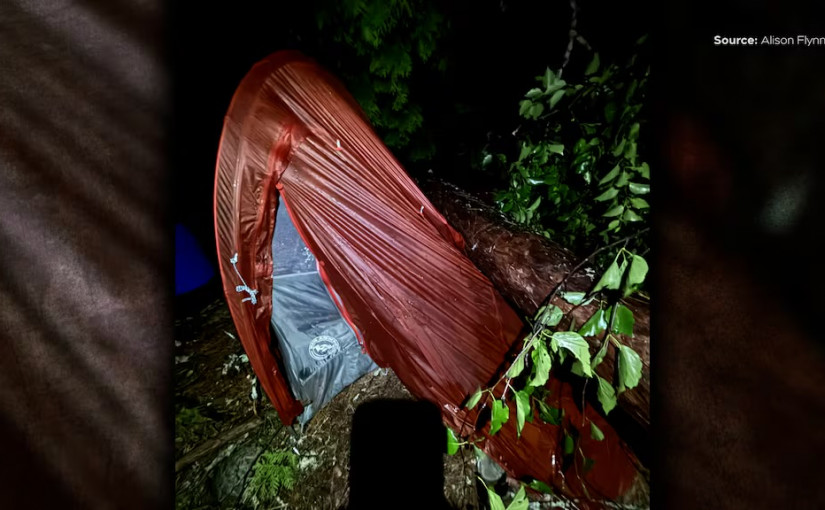 【暴風驚魂】渥太華野外露營帳篷遭樹重壓 母靠野外求生訓練救13歲子