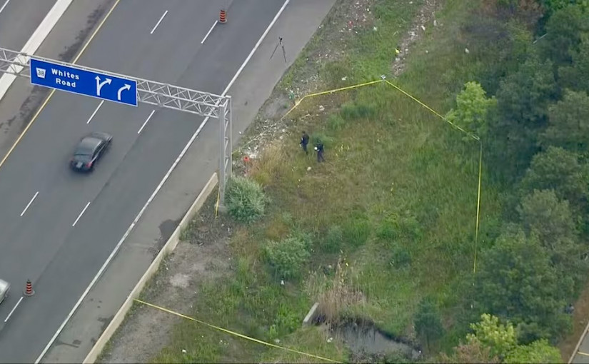 【尋人變命案】多市67歲婦屍橫401公路旁 同居60歲男控一級謀殺被捕