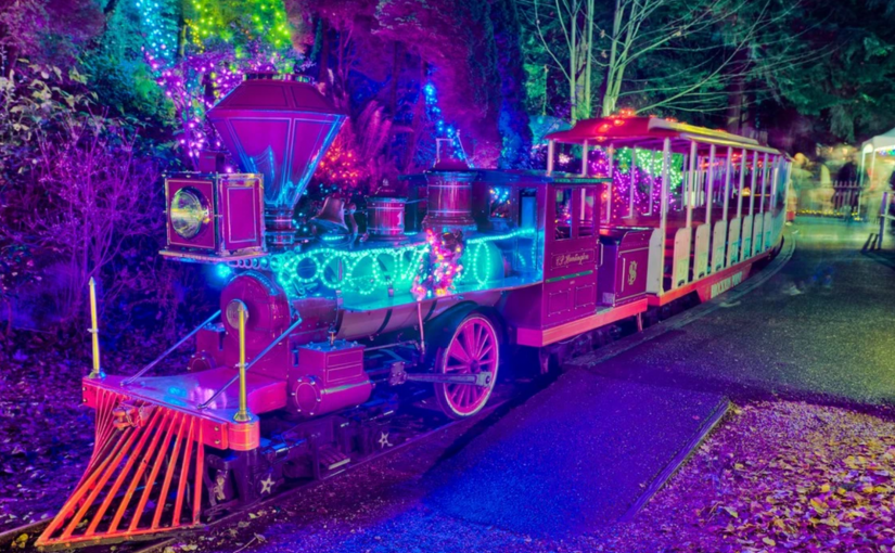 素里搶走溫哥華風采  「光明之夜」聖誕燈節將移師素里舉辦