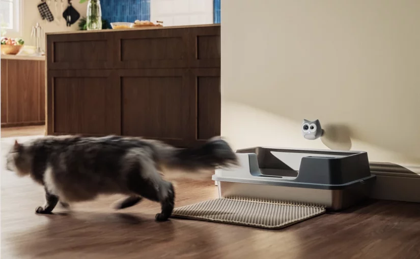 科技｜「貓砂盆貓頭鷹」AI監測愛貓如廁習慣　 預早發現腎病尿道等隱藏毛病