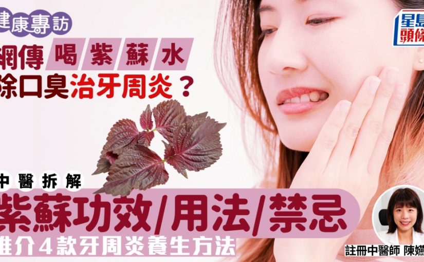 網傳喝紫蘇水除口臭治牙周炎？中醫解構紫蘇功效/用法/禁忌 推介4款內外兼治養生方法