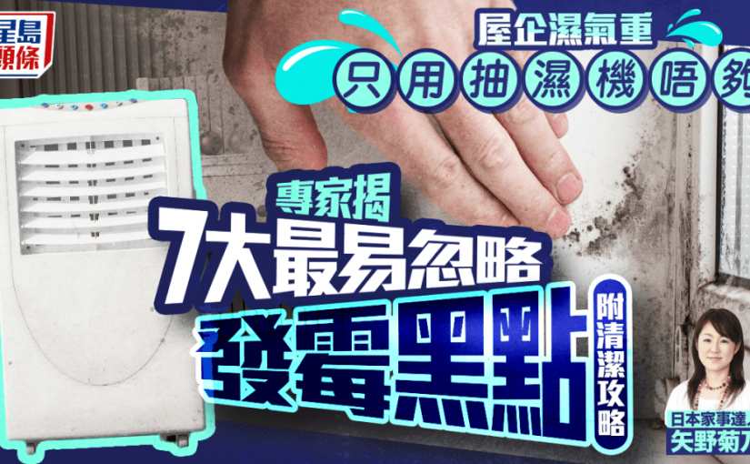 屋企濕氣重 只用抽濕機唔夠 專家揭7大最易忽略發霉黑點 附清潔攻略