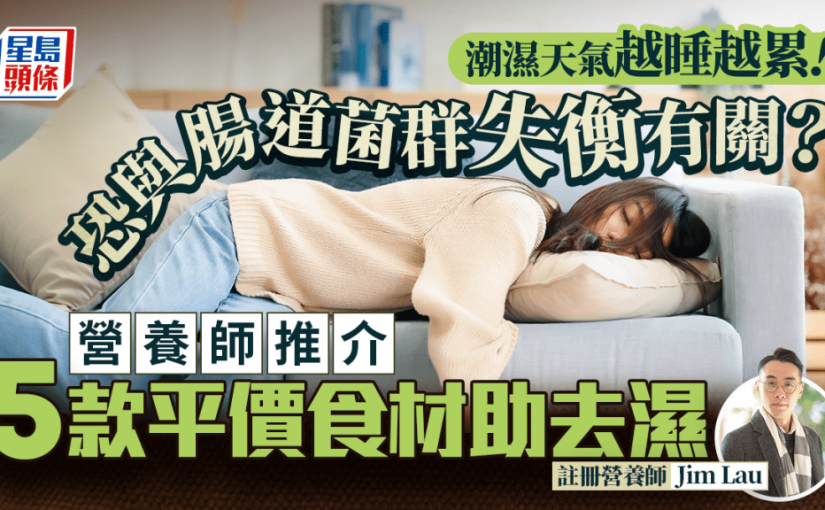 潮濕天氣越睡越累！恐與腸道菌群失衡有關？營養師推介街市5款平價食材助去濕