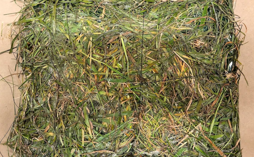 卑詩監獄草坪發現「種草」毒包裹   價值16萬元料由無人機投放