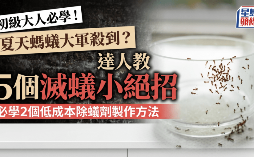 初級大人必學！夏天螞蟻大軍殺到？達人教5個滅蟻小絕招 必學2個低成本除蟻劑製作方法