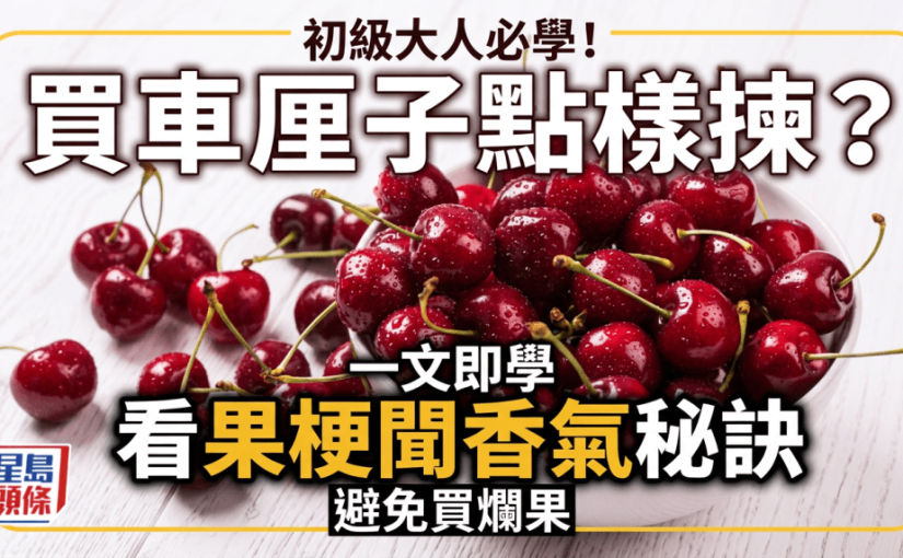 初級大人必學！買車厘子點樣揀？一文即學看果梗聞香氣秘訣 避免買爛果